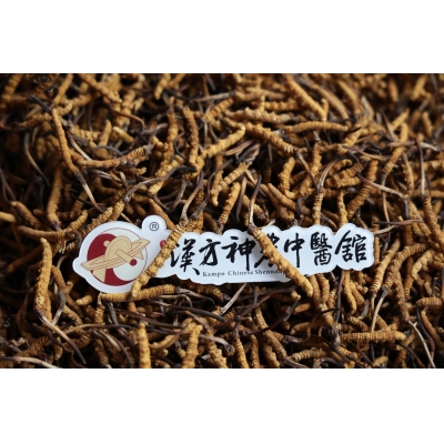 哪些人適合吃冬蟲夏草，這幾類人要注意！