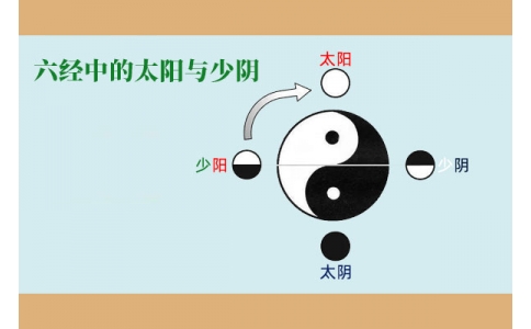 中醫(yī)基礎(chǔ)—六經(jīng)中的太陽與少陰含義！