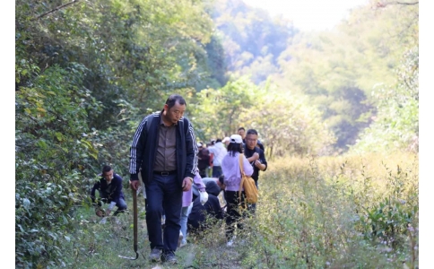 踏秋尋寶，聞香識(shí)藥！首屆神農(nóng)杯野外識(shí)藥大賽在株洲鳳凰山景區(qū)成功舉辦！