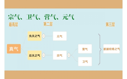 中醫(yī)里的“宗氣”、“衛(wèi)氣”、“營氣”、“元氣”